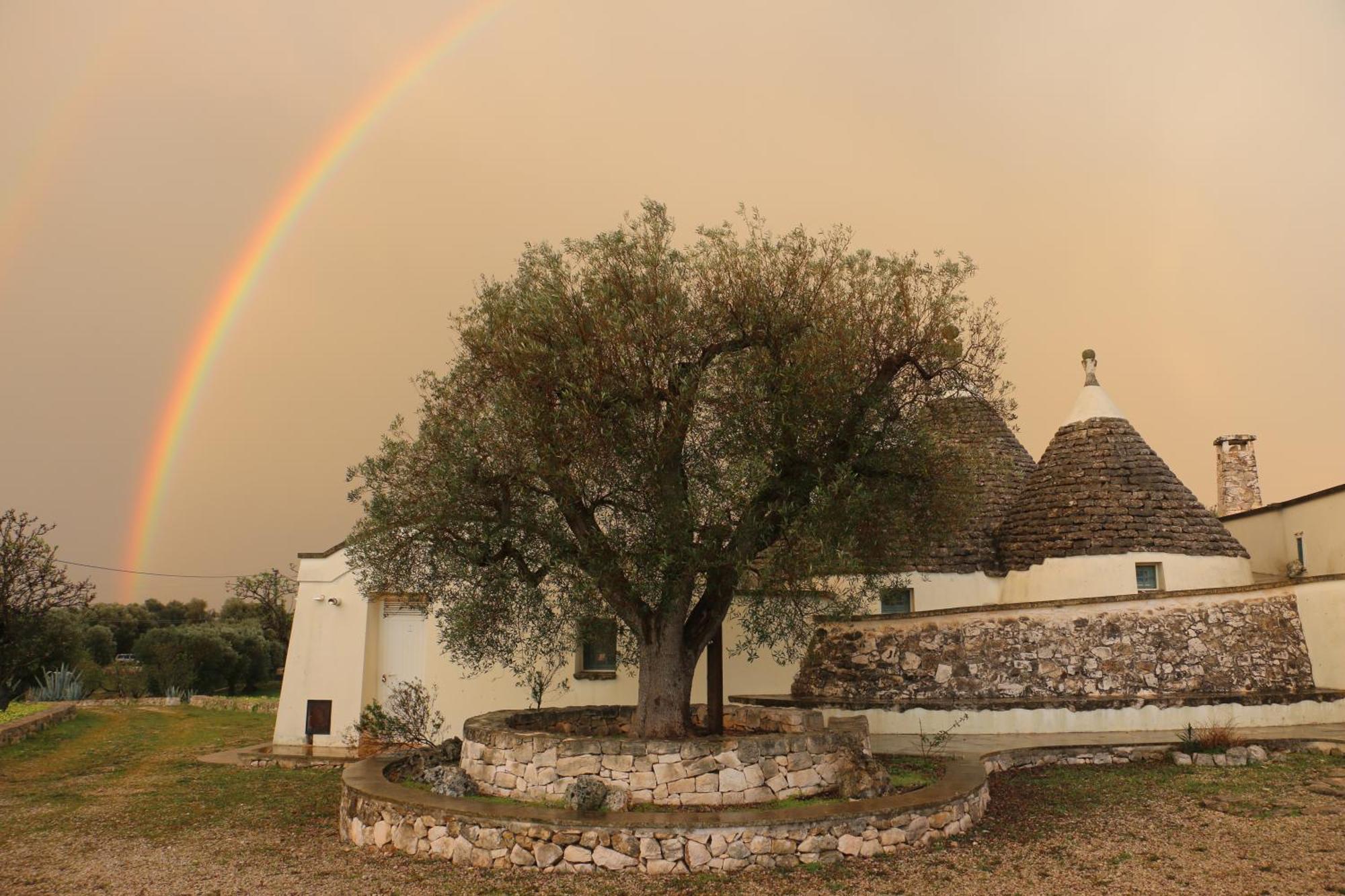 Villa 4 trulli, sea view, vista mare, isolata Ostuni Esterno foto